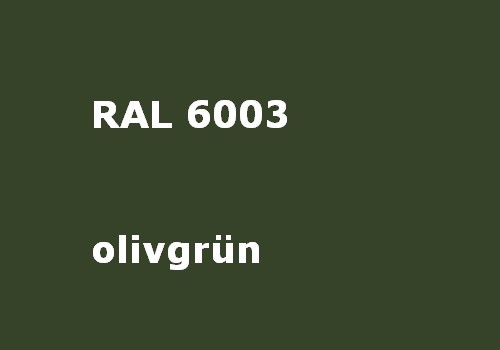 RAL 6003 oliv-grün matt 500g