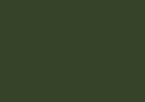 RAL 6003 olive - green matt 250g