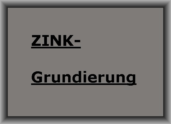 GRUNDIERUNG ZINK-Grundierpulver 500g