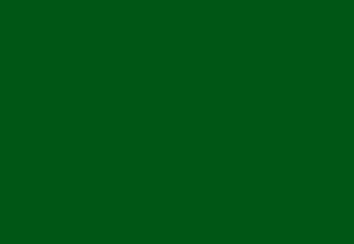 RAL 6002 laub-grün glänzend 250g